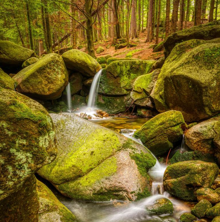 September 19 Soka Gakkai (global)