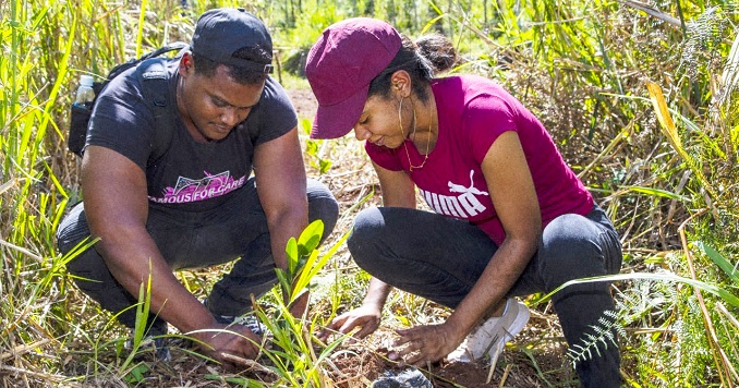 Dos personas agachadas en la hierba plantando juntos un plantón.