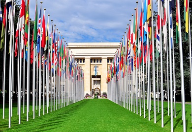 Two rows of the flags line a green path to a yellow building.