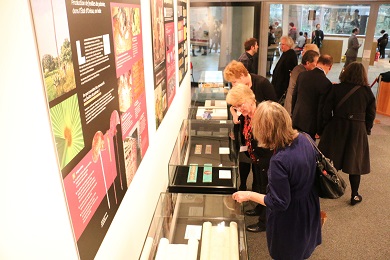 Visitantes de la exposición observan los textos exhibidos en vitrinas.