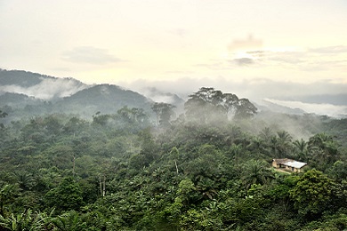 Vista aérea de la Selva del Congo 