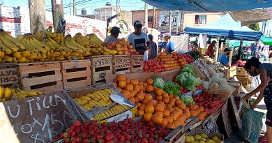 Vista de un colorido puesto de frutas al aire libre