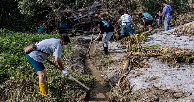 Cuatro hombres cavan zanjas para el drenaje.