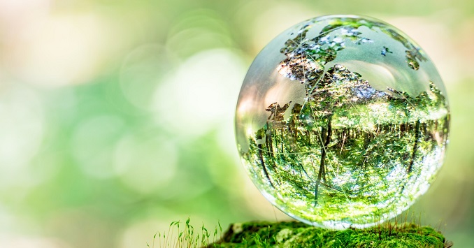 玻璃球映照出绿色森林。