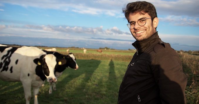 Philip Frank standing in a field with two cows