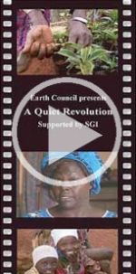 A Quiet Revolution: The Earth Charter and Human Potential